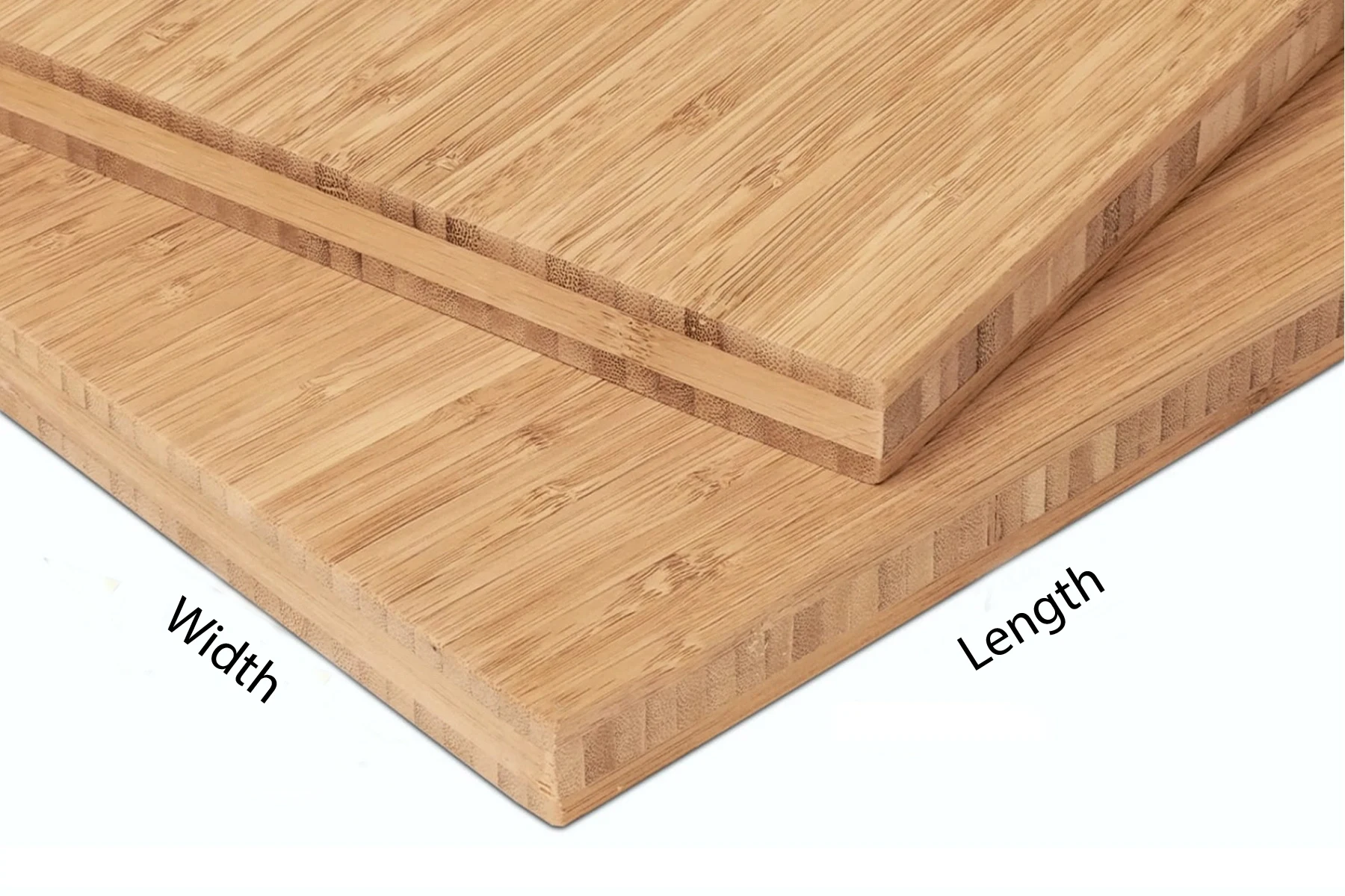 Bamboo