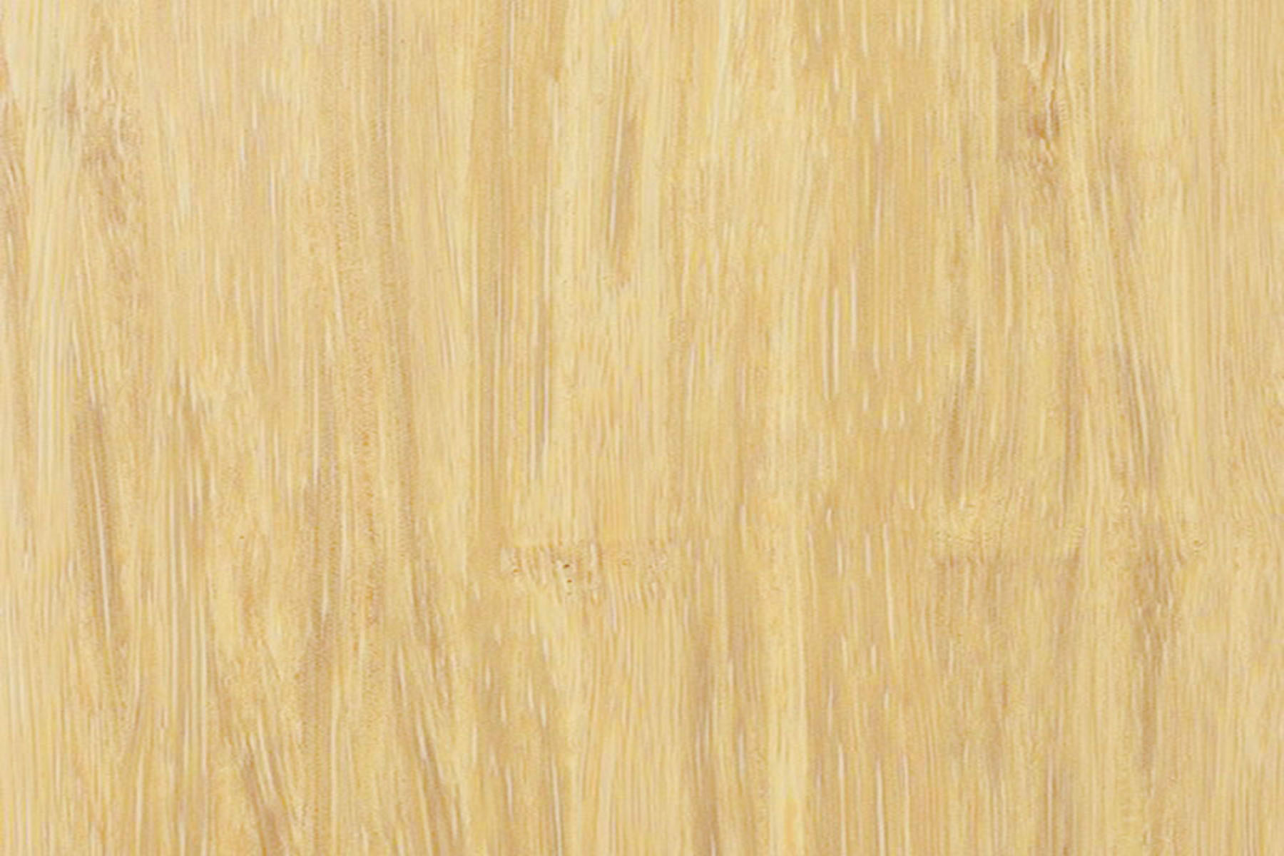 Bamboo