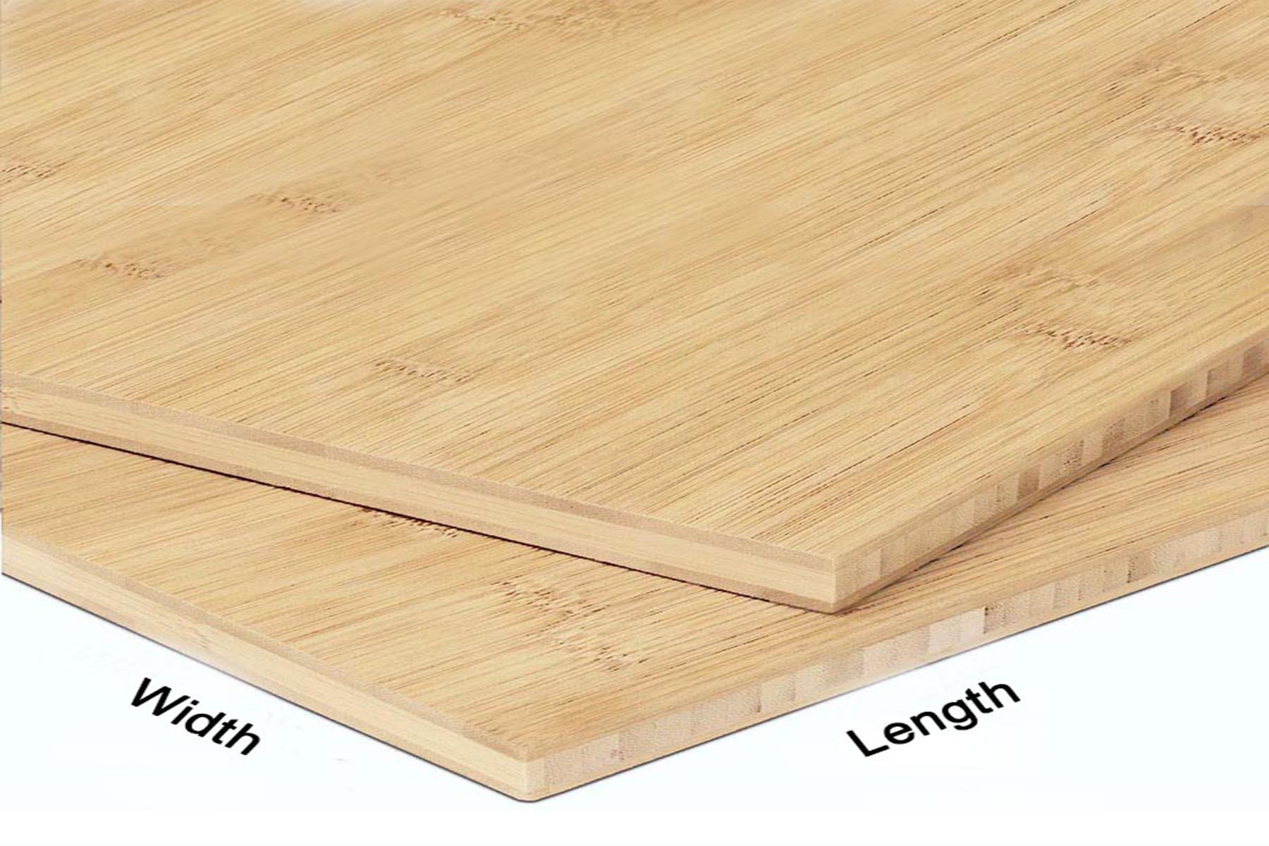 Bamboo