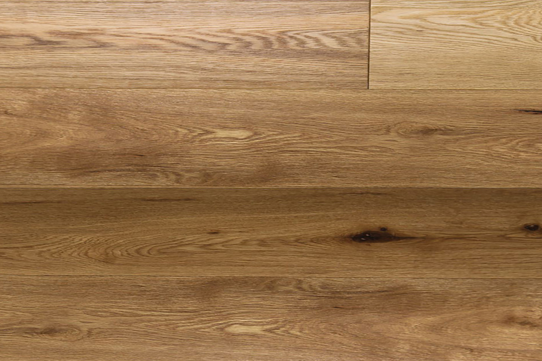 European White Oak