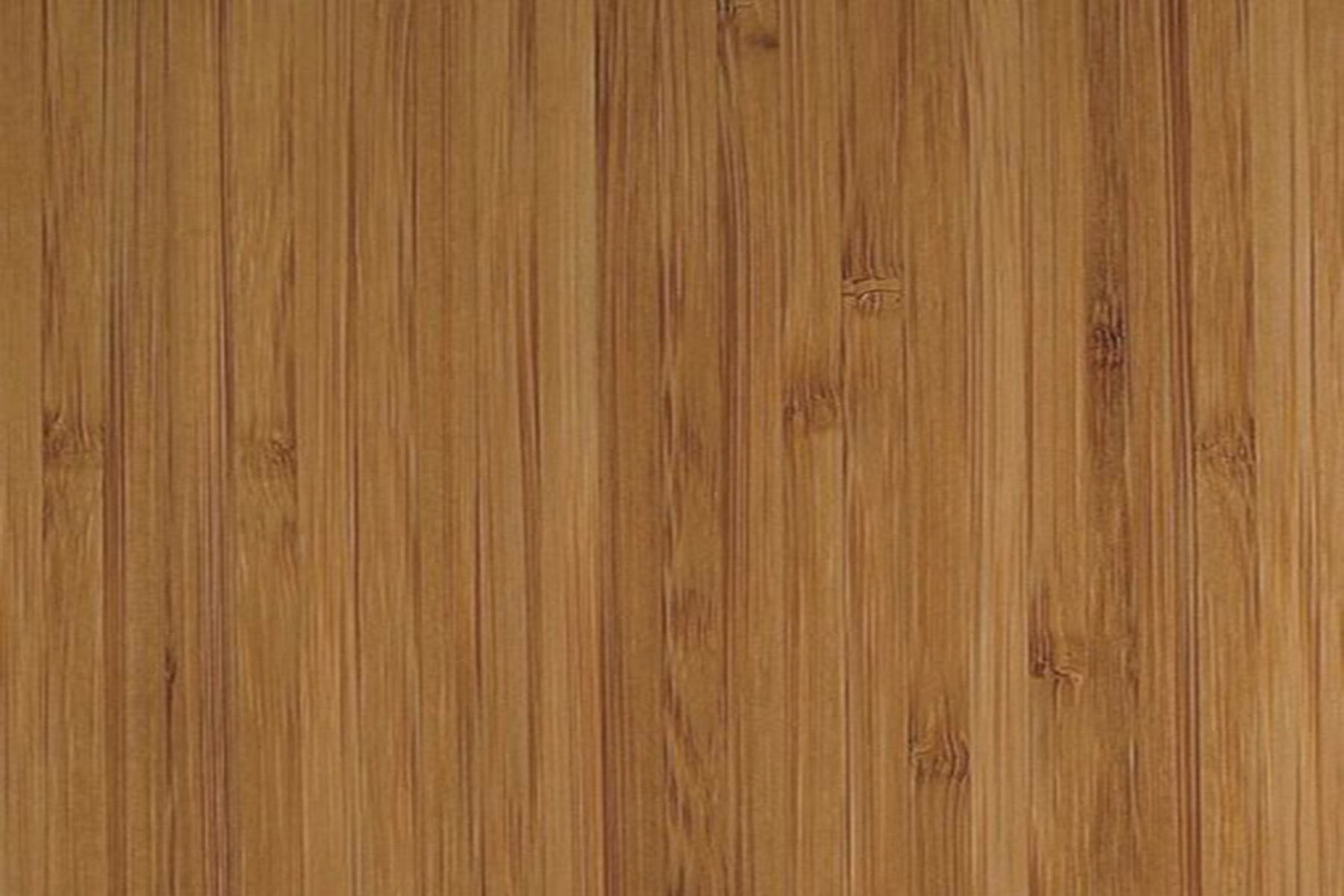 Bamboo