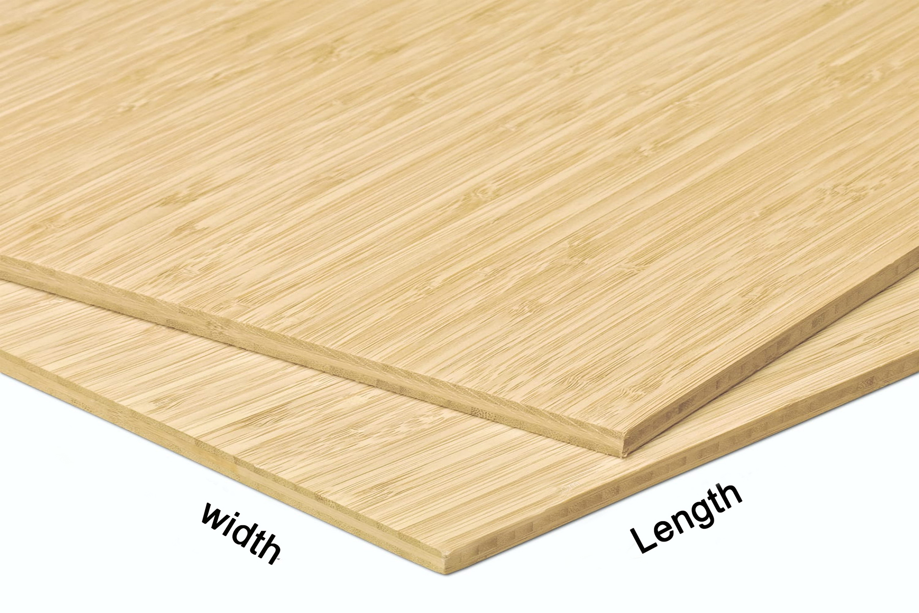 Bamboo