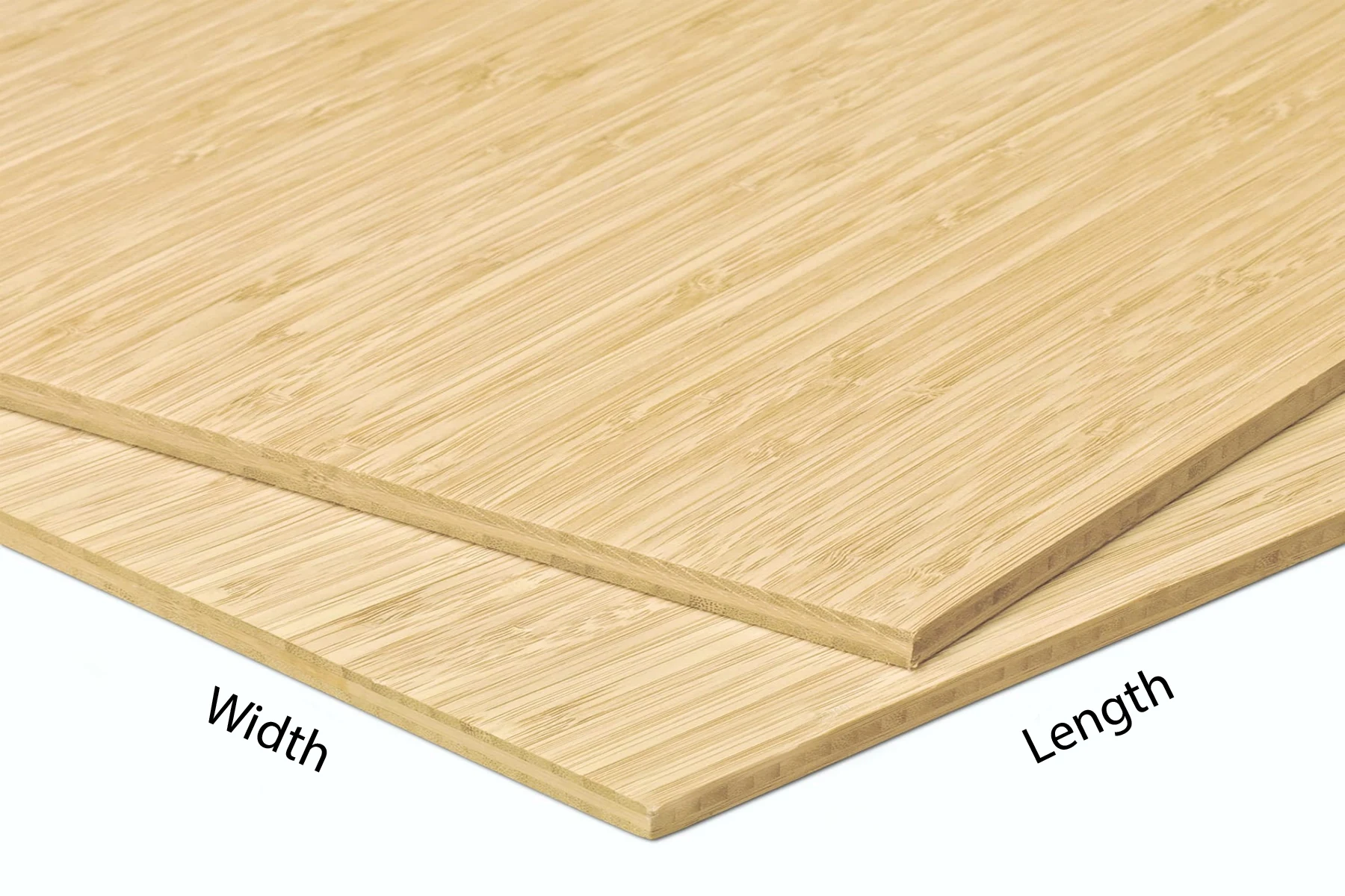 Bamboo