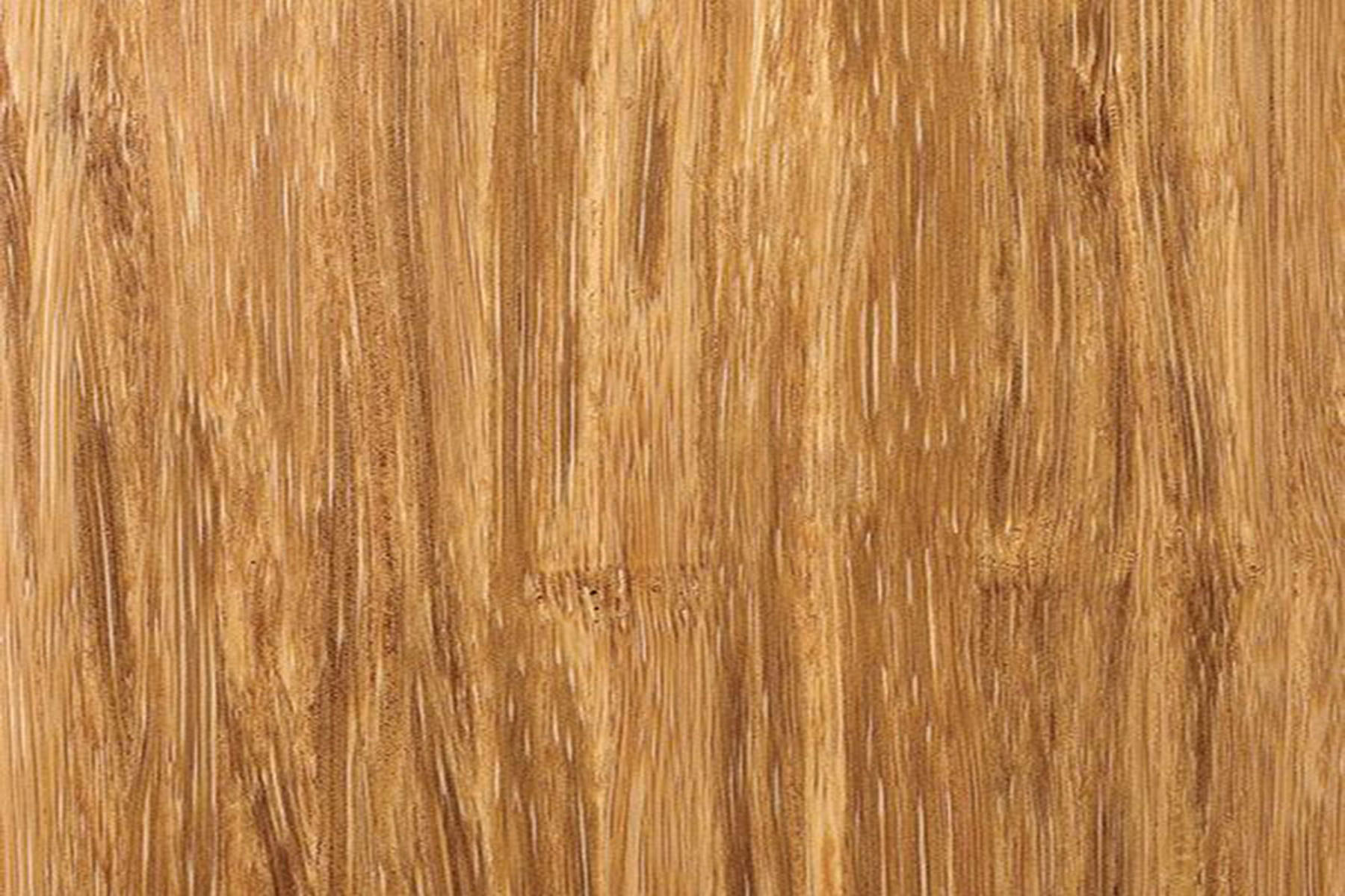Bamboo