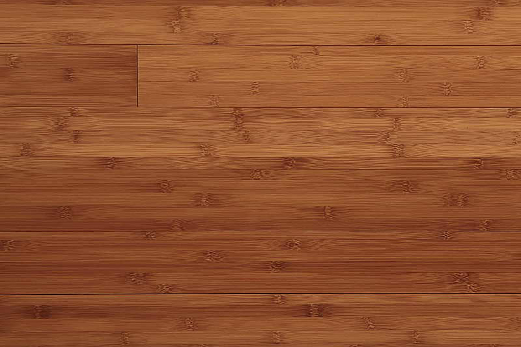 Bamboo