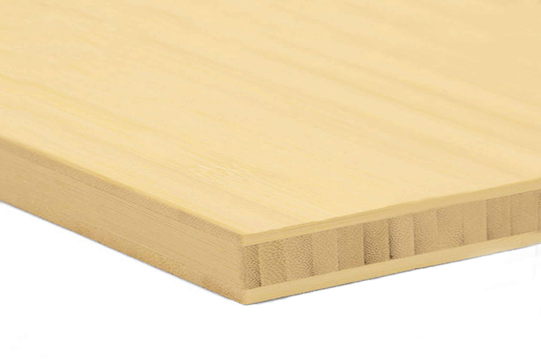 Bamboo