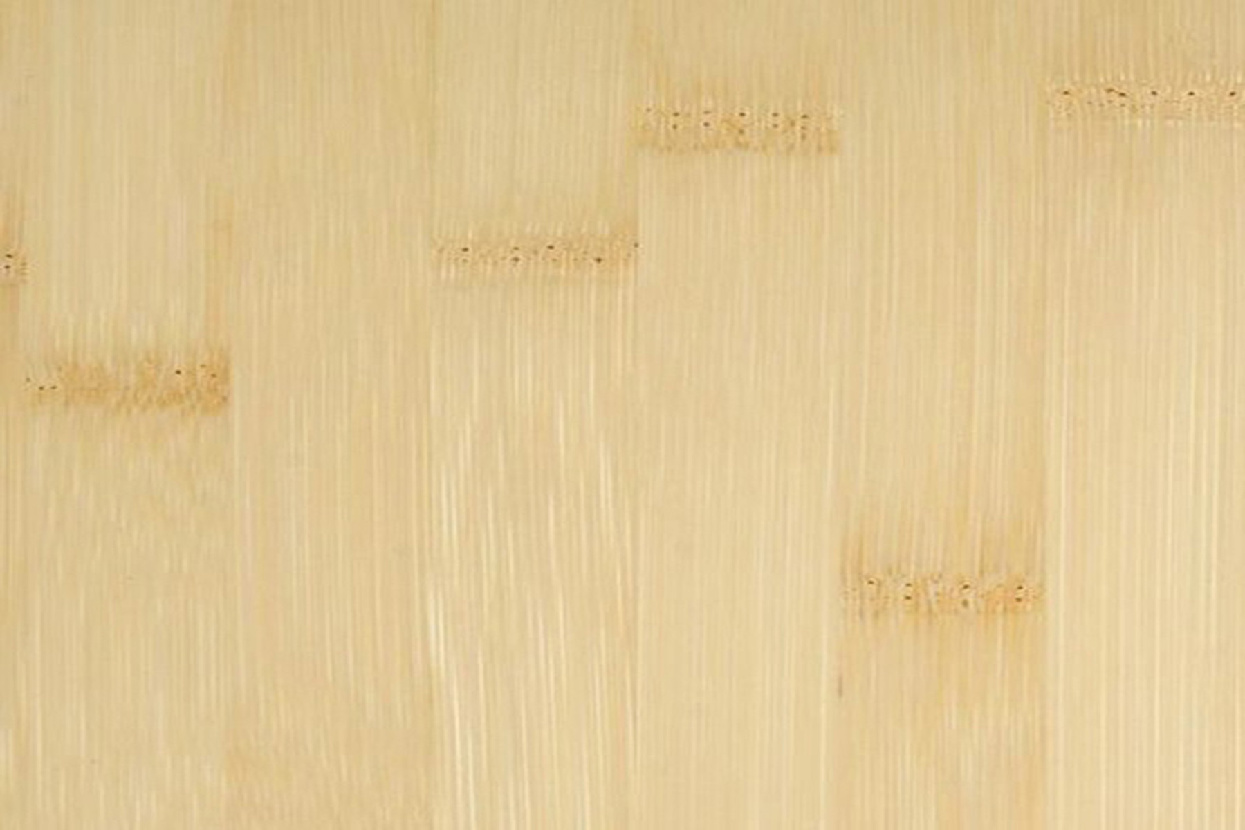 Bamboo