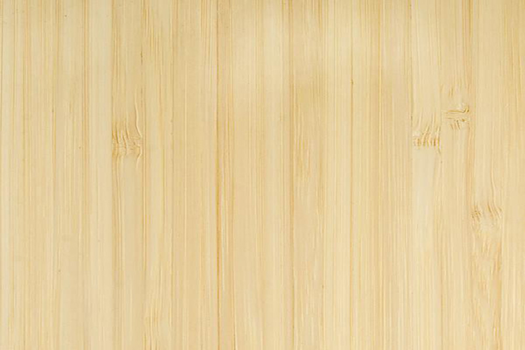 Bamboo